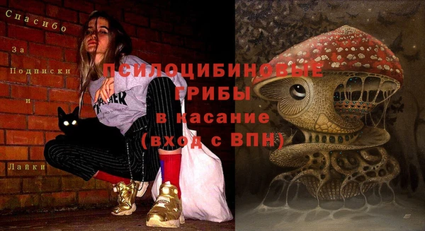 не бодяженный Зерноград